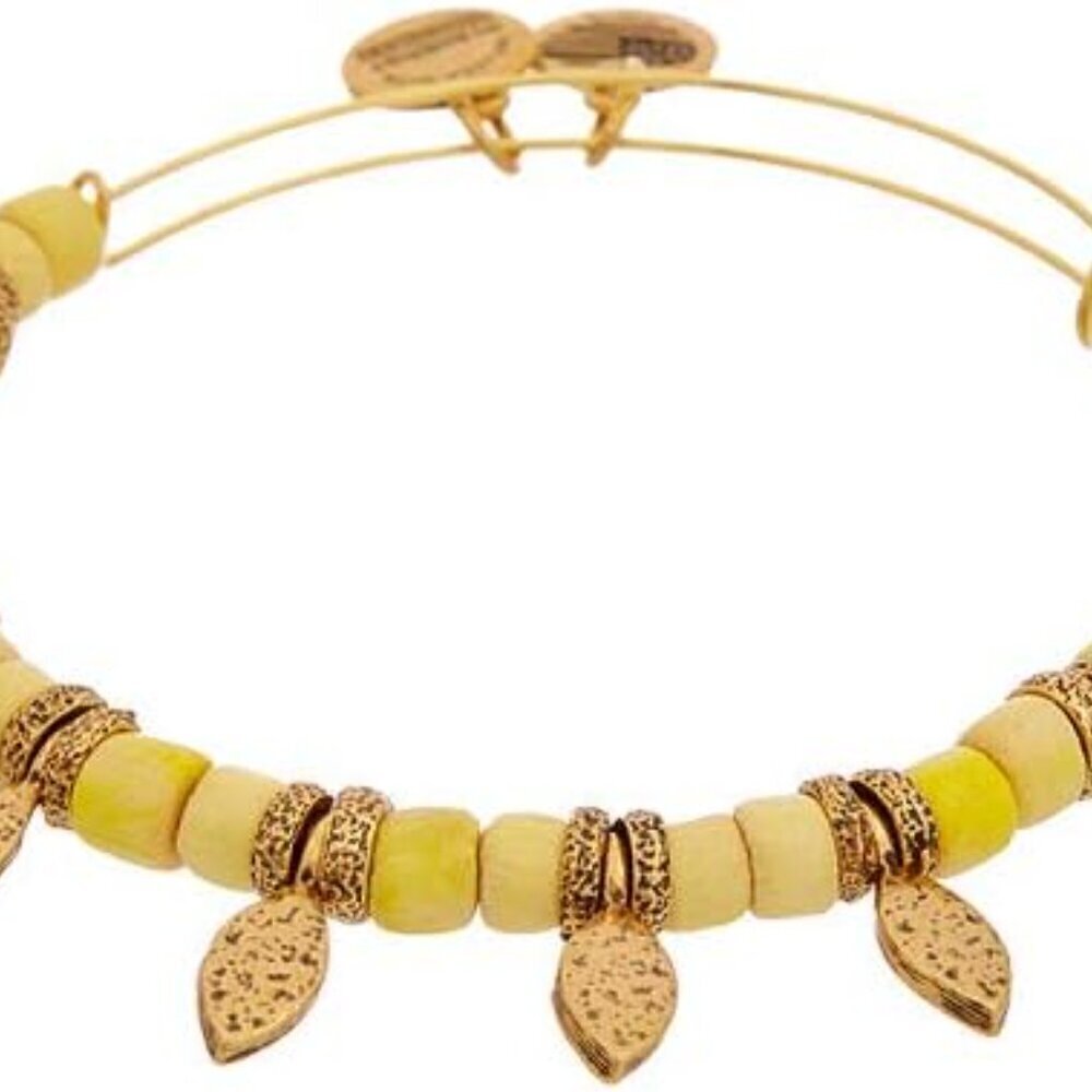 NEW Alex and Ani Spearhead Sunlight Bangle - Picture 9 of 9